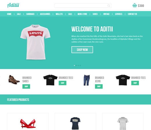 Free website template CSS HTML5 Aditii a Flat ECommerce Responsive Web Template