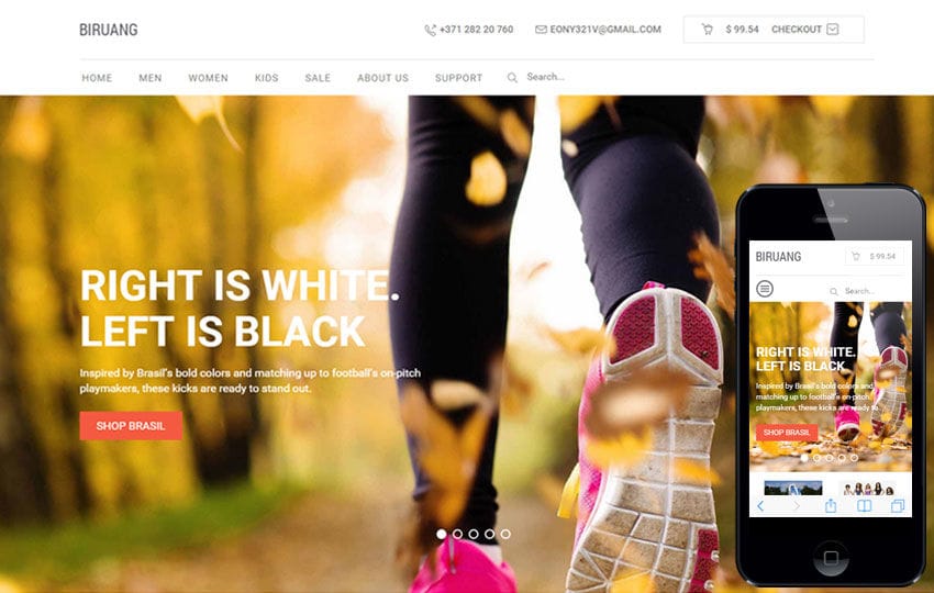 Biruang a Flat eCommerce Responsive Web Template Mobile website template Free