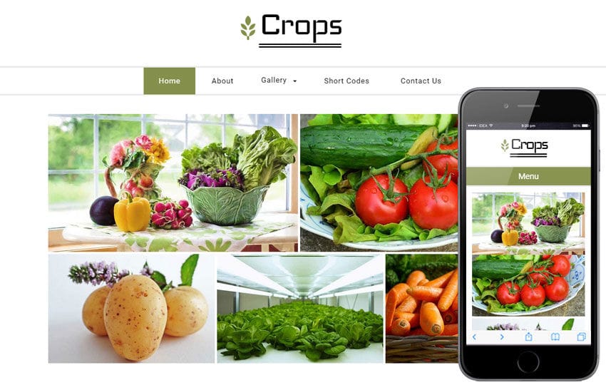 crops-agriculture-website-template-w3layouts