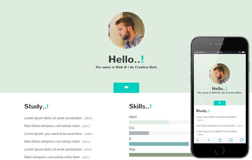 My Skills a Personal Portfolio Flat Bootstrap Responsive Web Template