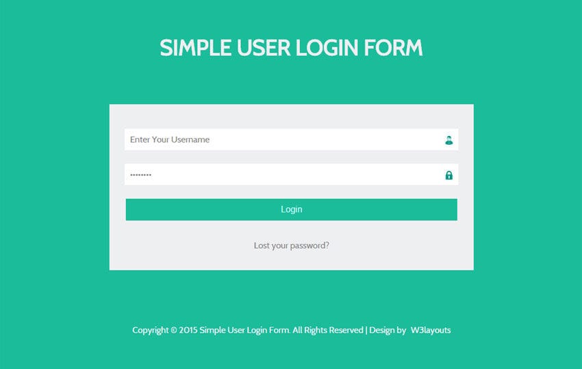 simple css form