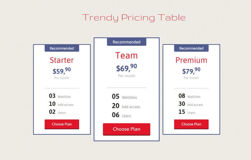 Widget template. Pricing Table.