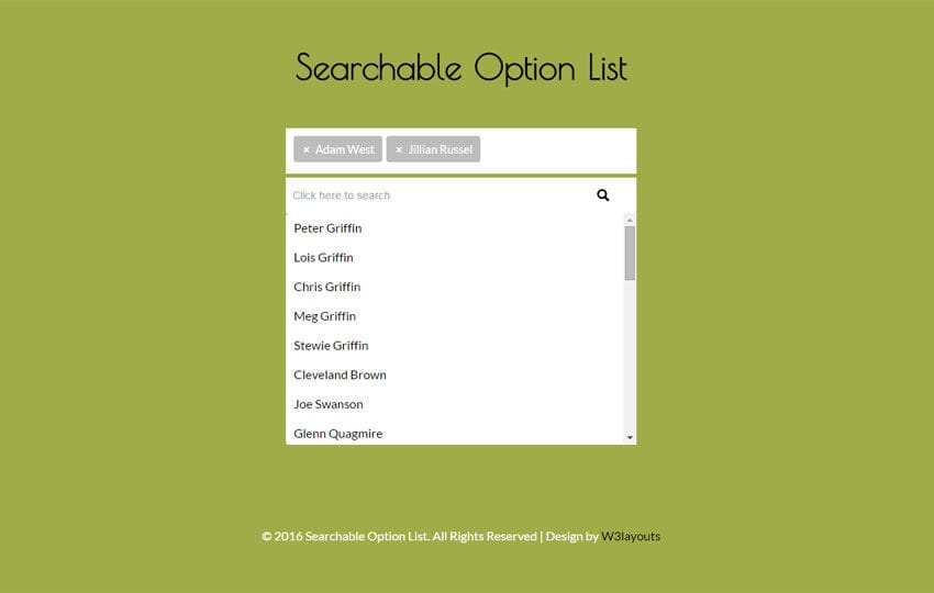 Searchable Option list Responsive Widget Template