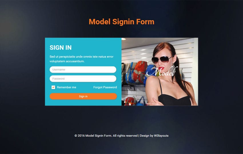 Model Signin Form  Responsive Widget Template