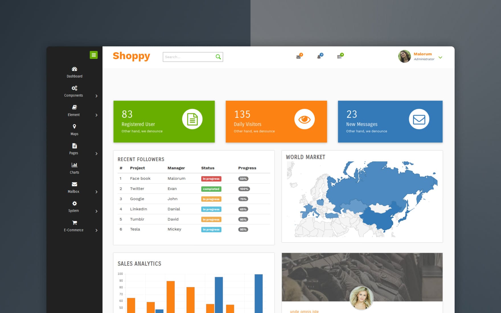 Free Shoppy Admin Dashboard For Ecommerce Website W3layouts