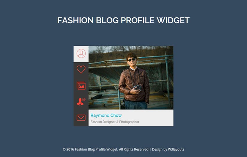 Fashion Blog Profile Widget A Flat Responsive Widget Template
