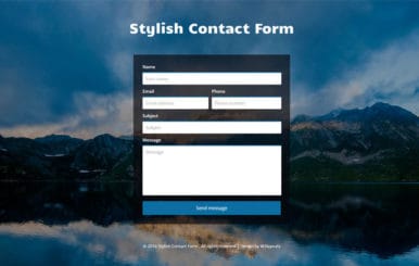 Stylish Contact Form