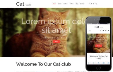 Cat Club an Animals and Pets Bootstrap Responsive Web Template