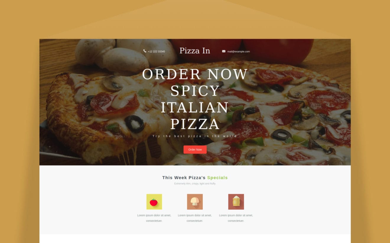 Pizza In a Newsletter Template