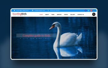 website-templates