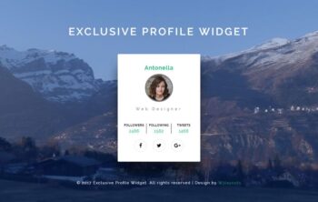 Exclusive Profile Widget a Responsive Widget Template