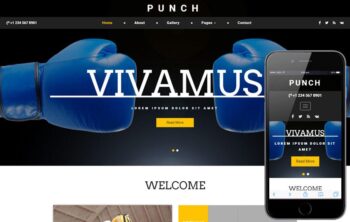 Punch a Sports Category Bootstrap Responsive Web Template