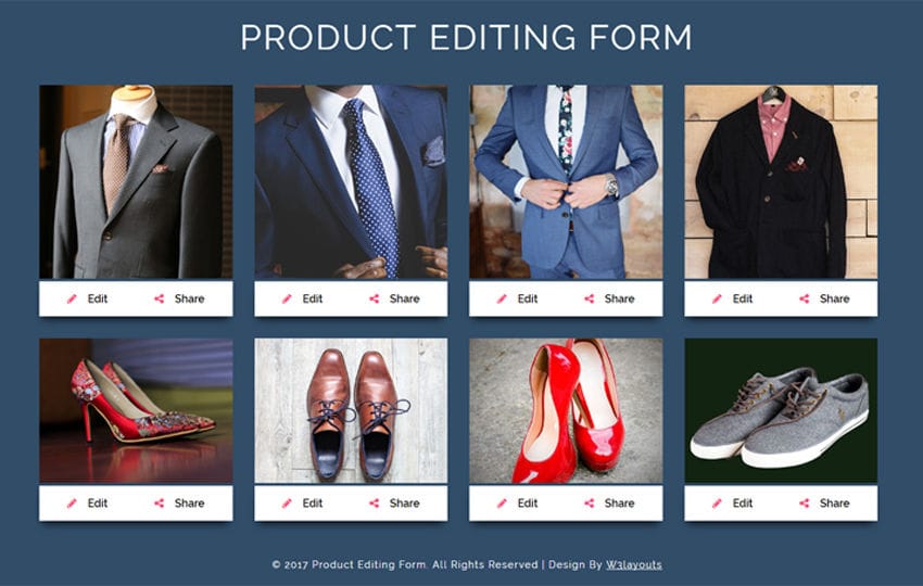 Product Editing Form a Flat Responsive Widget Template