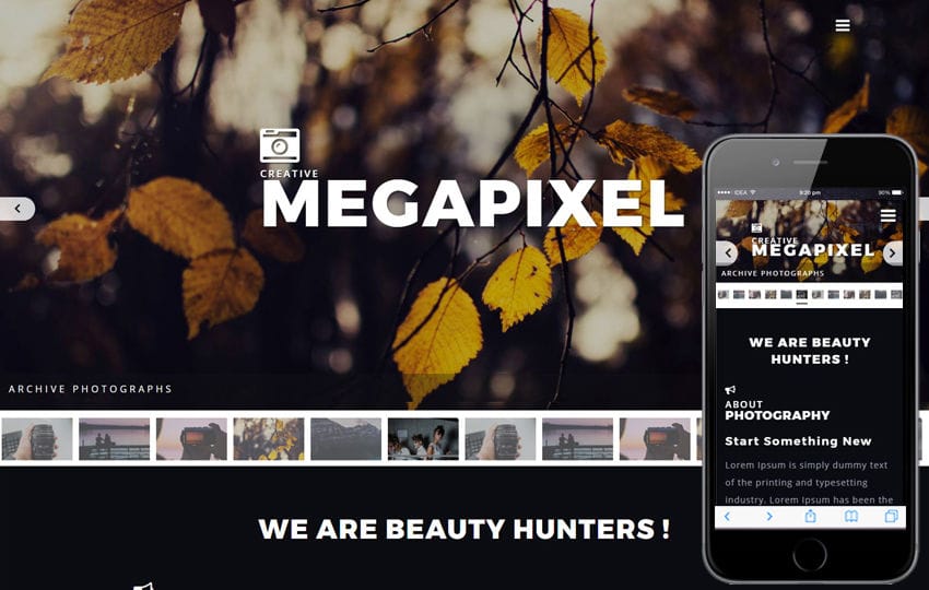 Megapixel a Photo Gallery Category Bootstrap Responsive Web Template