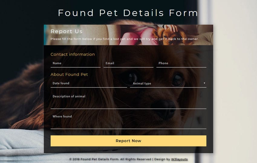 Found Pet Details Form a Responsive Widget Template