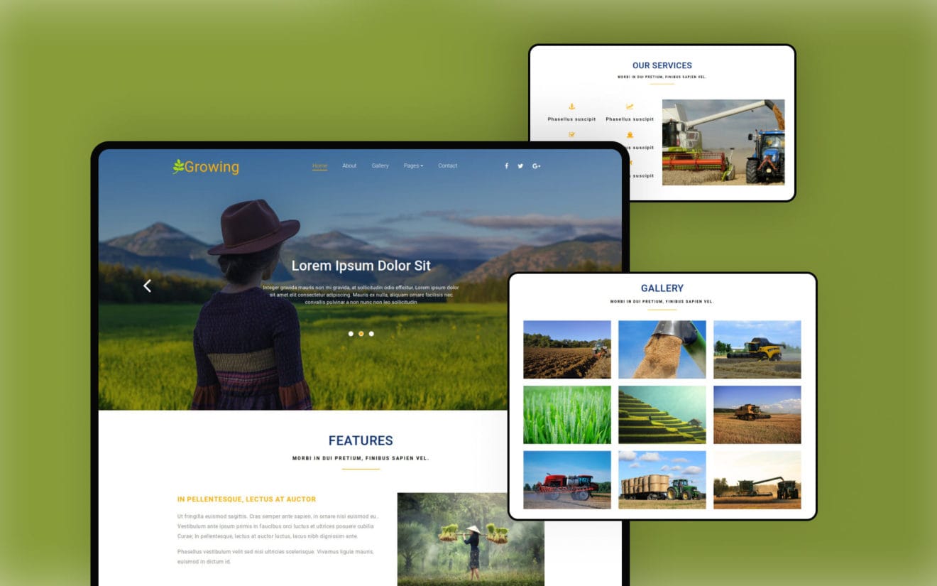 Growing an Agriculture Category Bootstrap Responsive Web Template