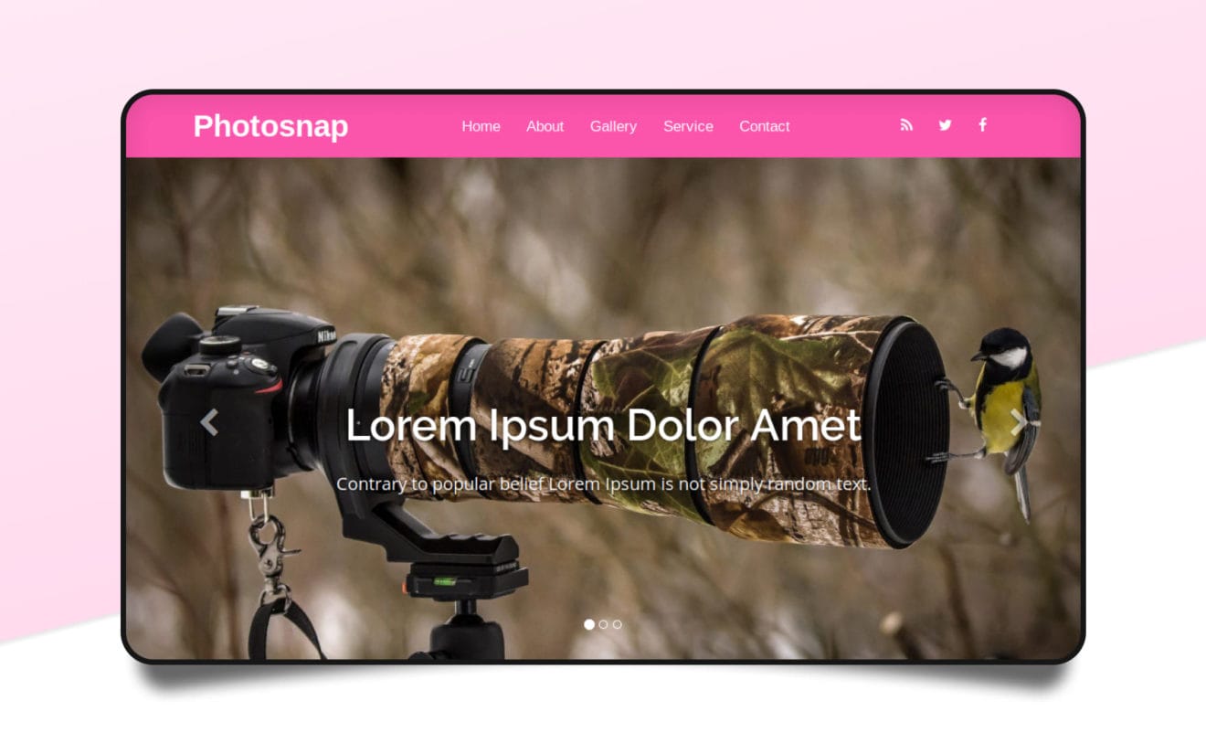 Photosnap a Photo Gallery Category Bootstrap Responsive Web Template