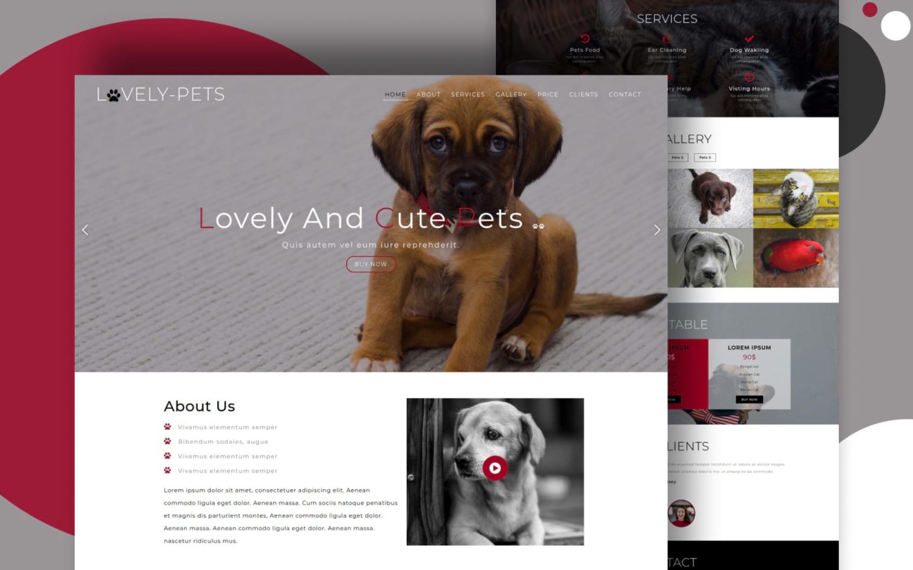 Lovely Pets Animals Category Bootstrap Responsive Web Template