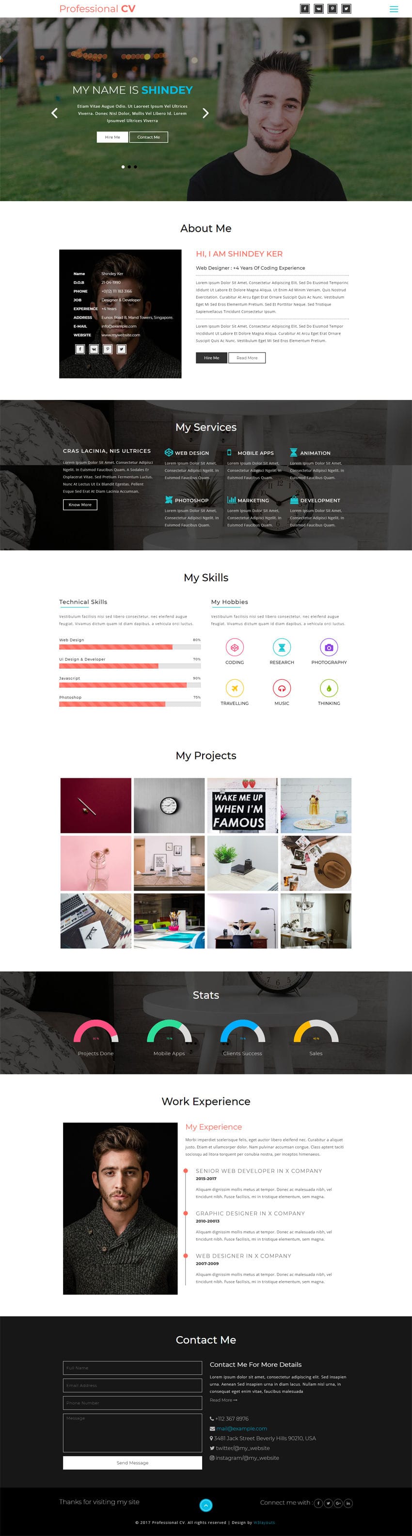 professional cv a personal category bootstrap responsive web template
