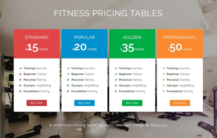 Fitness Pricing Tables Responsive Widget Template