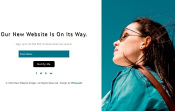 New website widget
