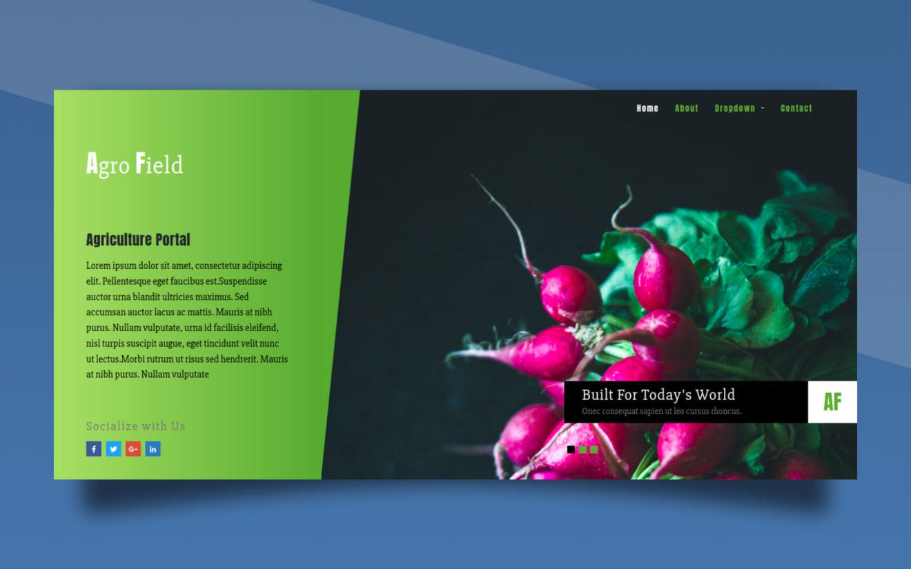 Agro Field Agriculture Category Bootstrap Responsive Web Template.