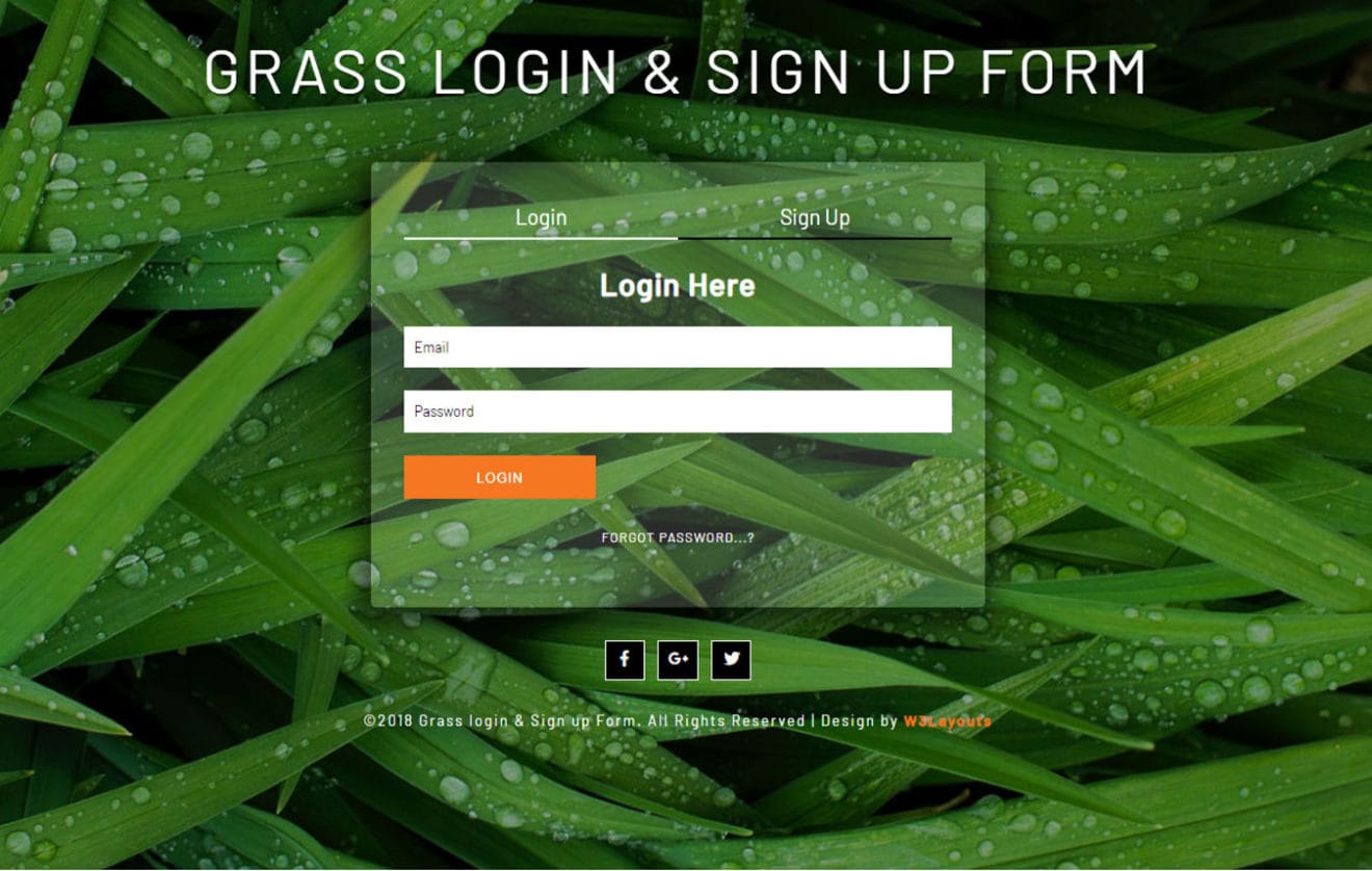 Grass Login & Sign Up Form a Flat Responsive Widget Template