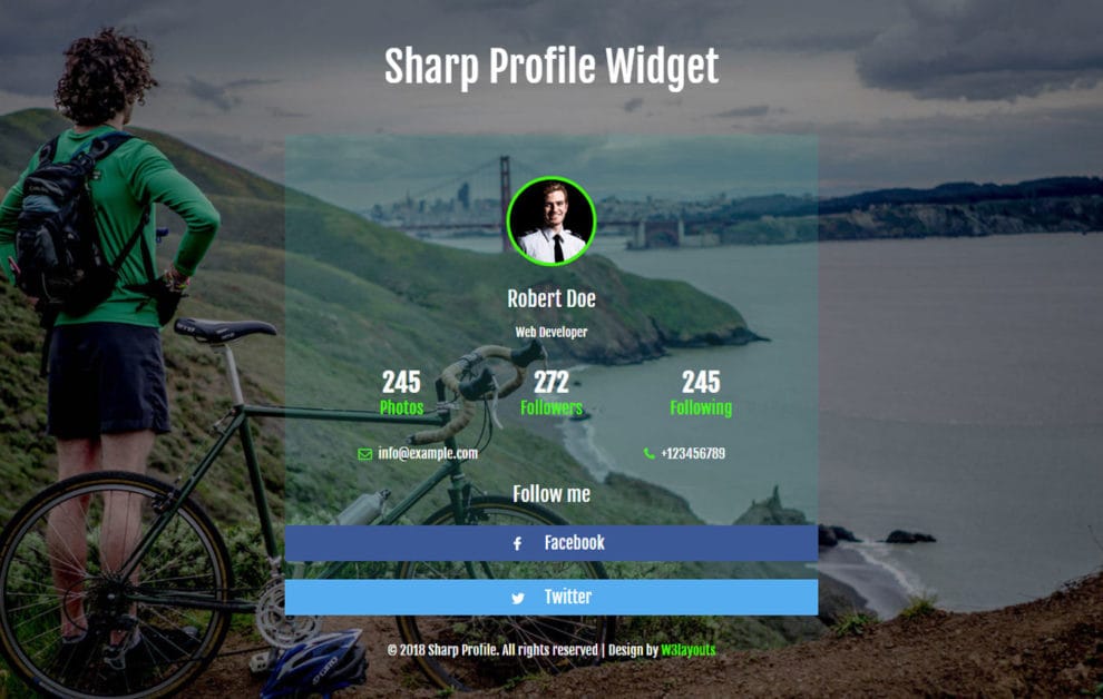 Sharp Profile Flat Responsive Widget Template