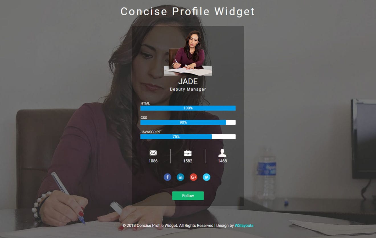 Concise Profile Widget Responsive Widget Template