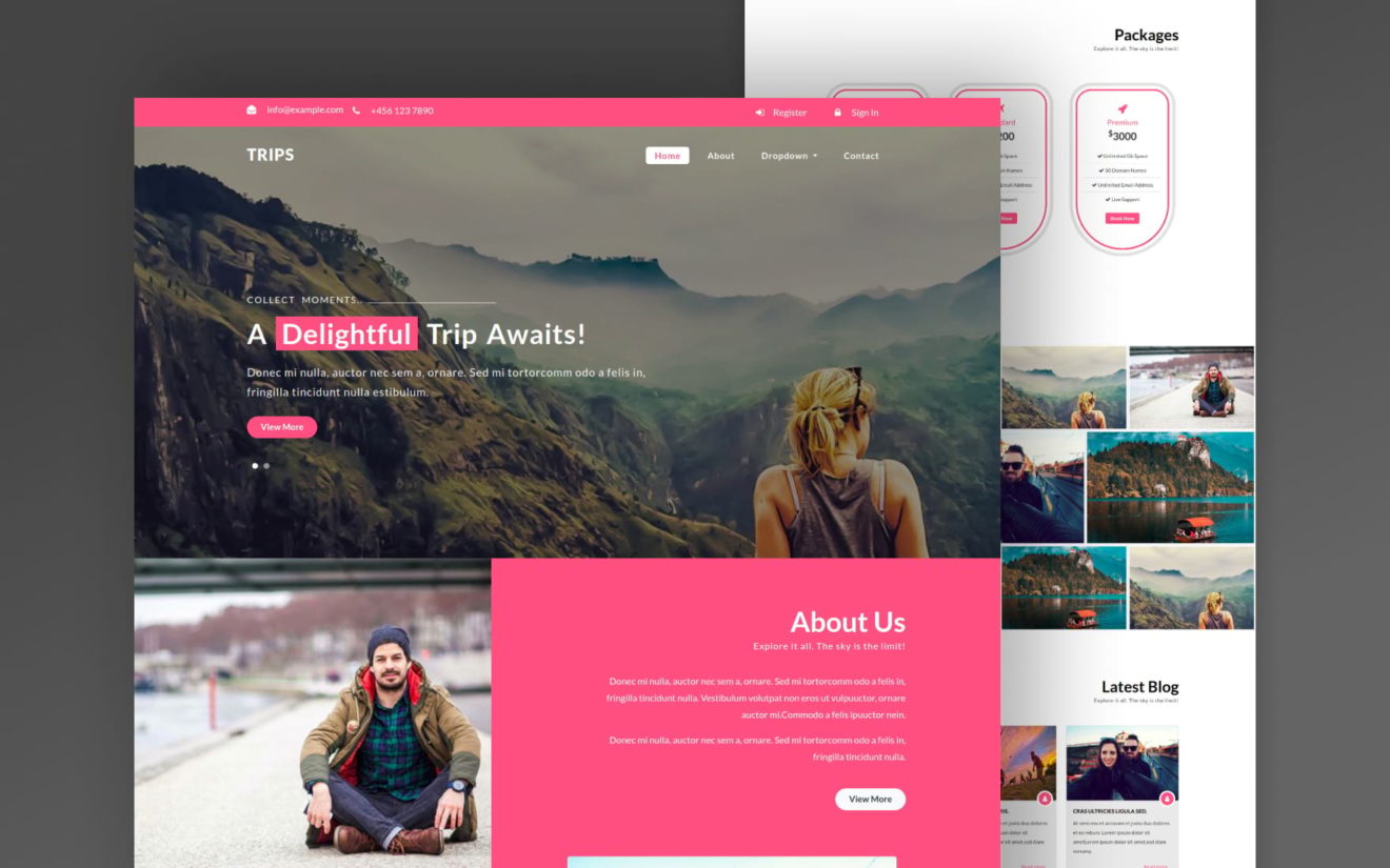 Trips a Travel Category Bootstrap Responsive Web Template