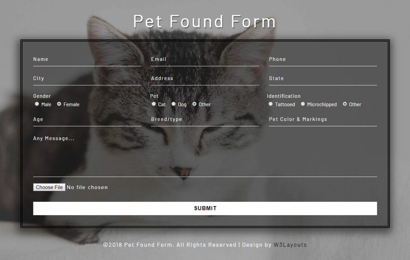 Pet Found Form a Flat Responsive Widget Template