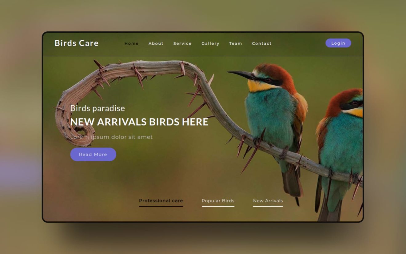 Birds Care – Animals Category Bootstrap Responsive Web Template