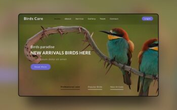 website-templates