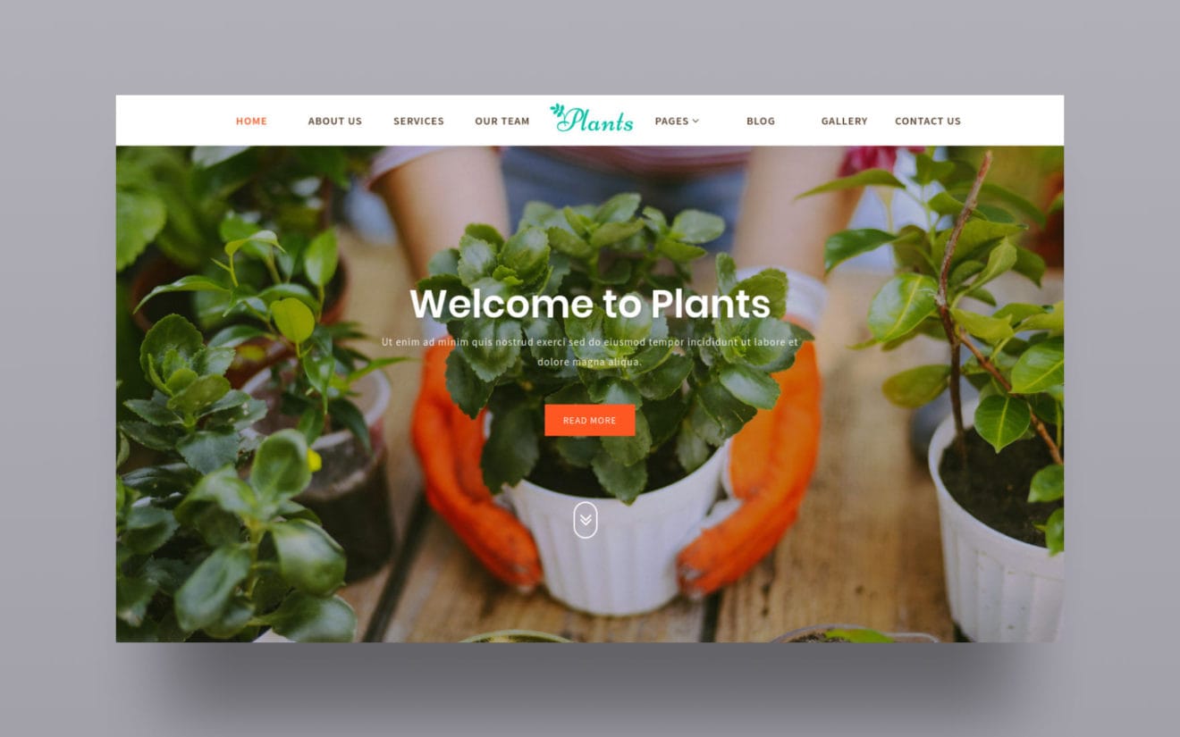 Plants – Agriculture Category Bootstrap Responsive Web Template