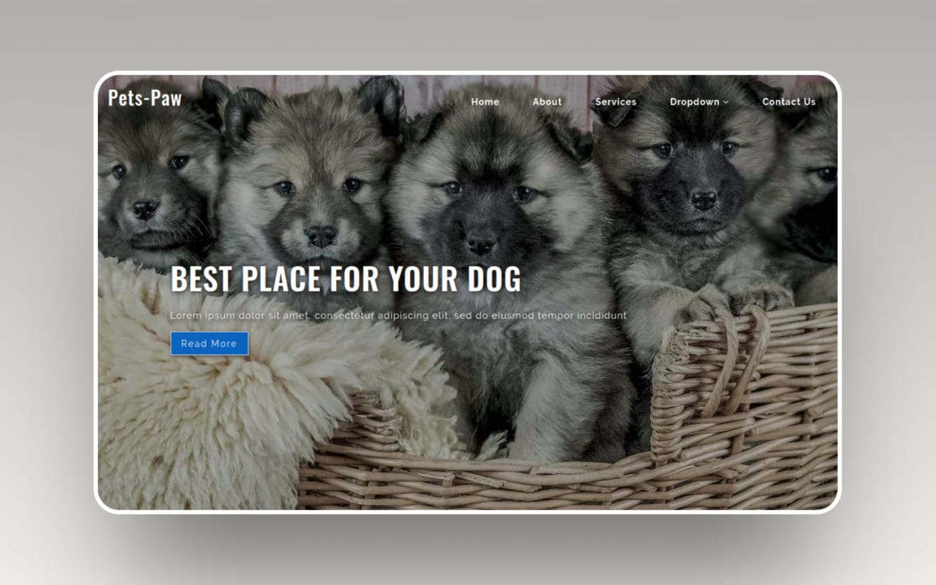 Pets Paw – Animals Category Flat Bootstrap Responsive Web Template