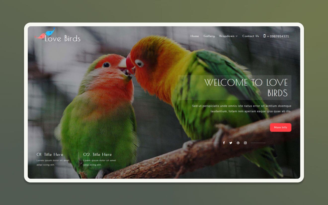 Love Birds – Animals & Pets Category Bootstrap Responsive Web Template