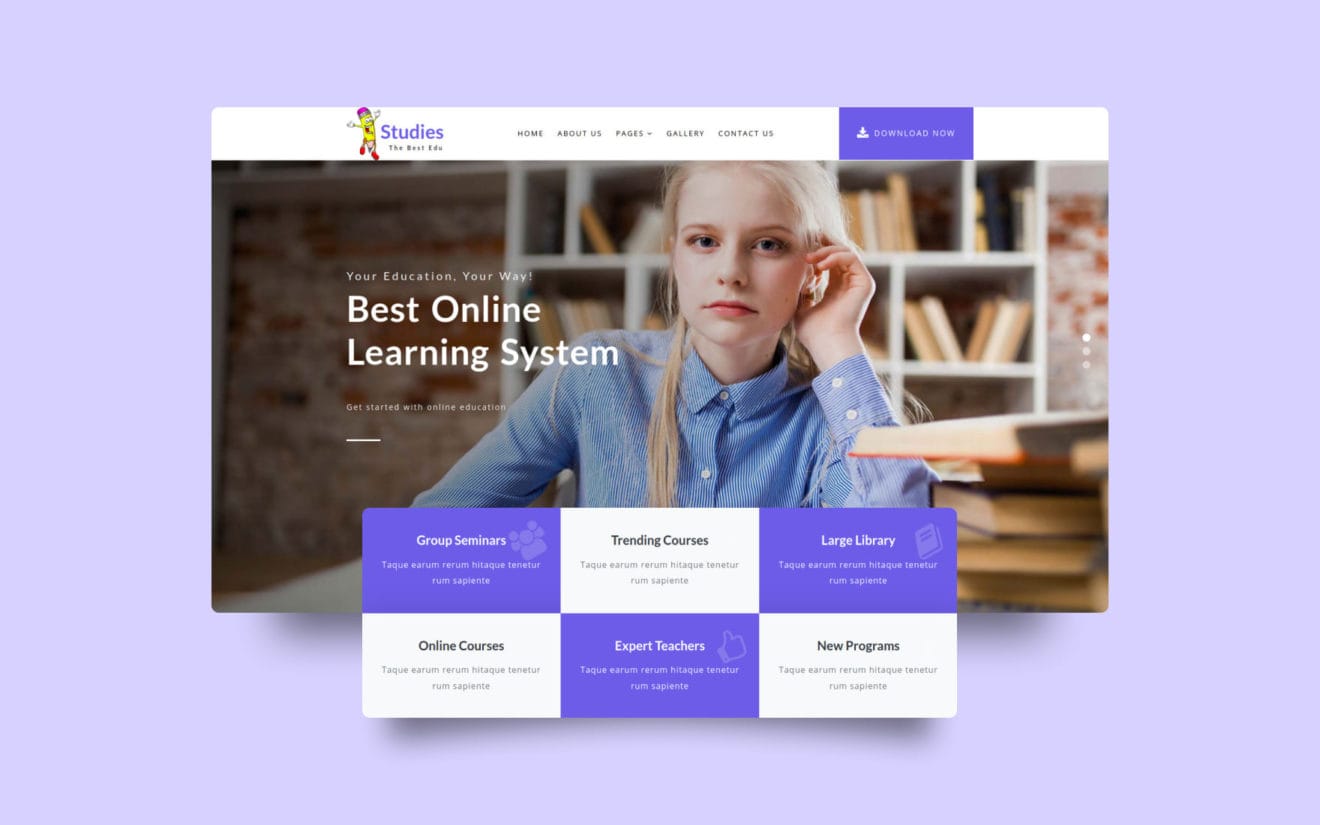 Studies an Education Category Bootstrap Responsive Web Template