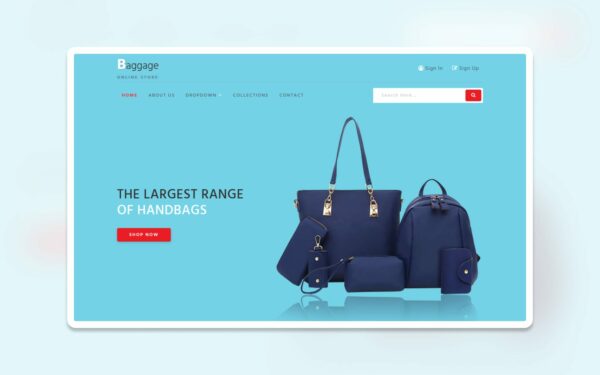 baggage-w3layouts-featured