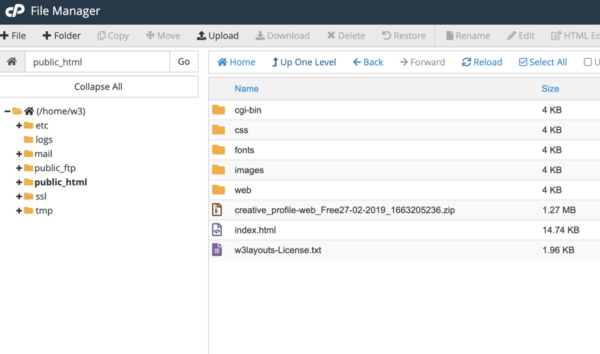 How To Make A Website Live With cPanel Hosting - W3Layouts