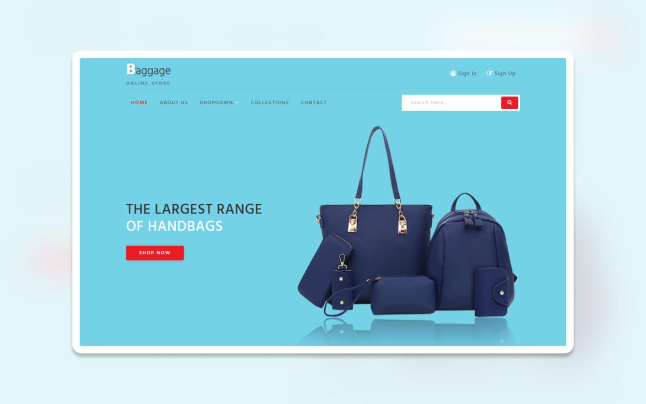 baggage ecommerce website template