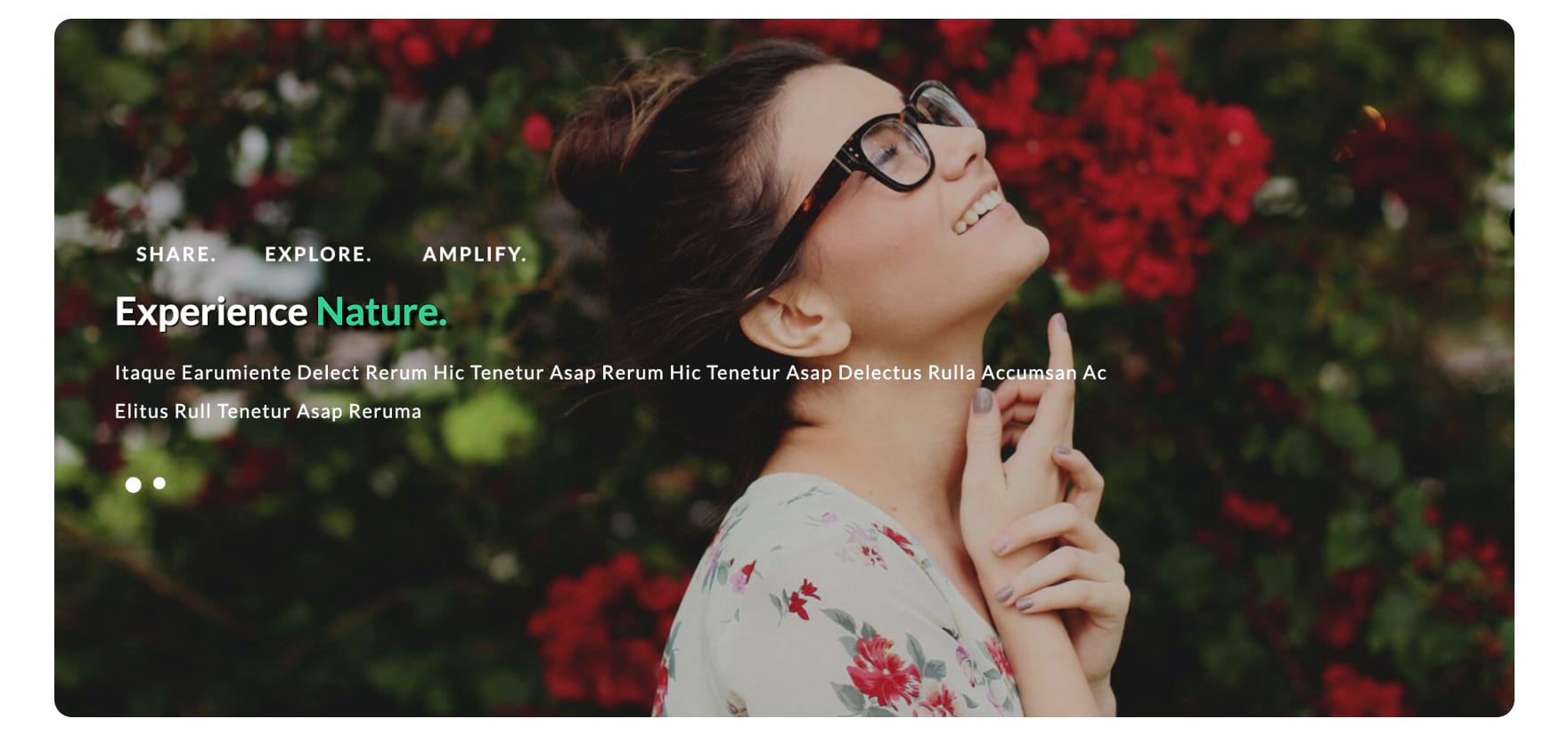 Basic Website Templates and WordPress Themes » W3Layouts