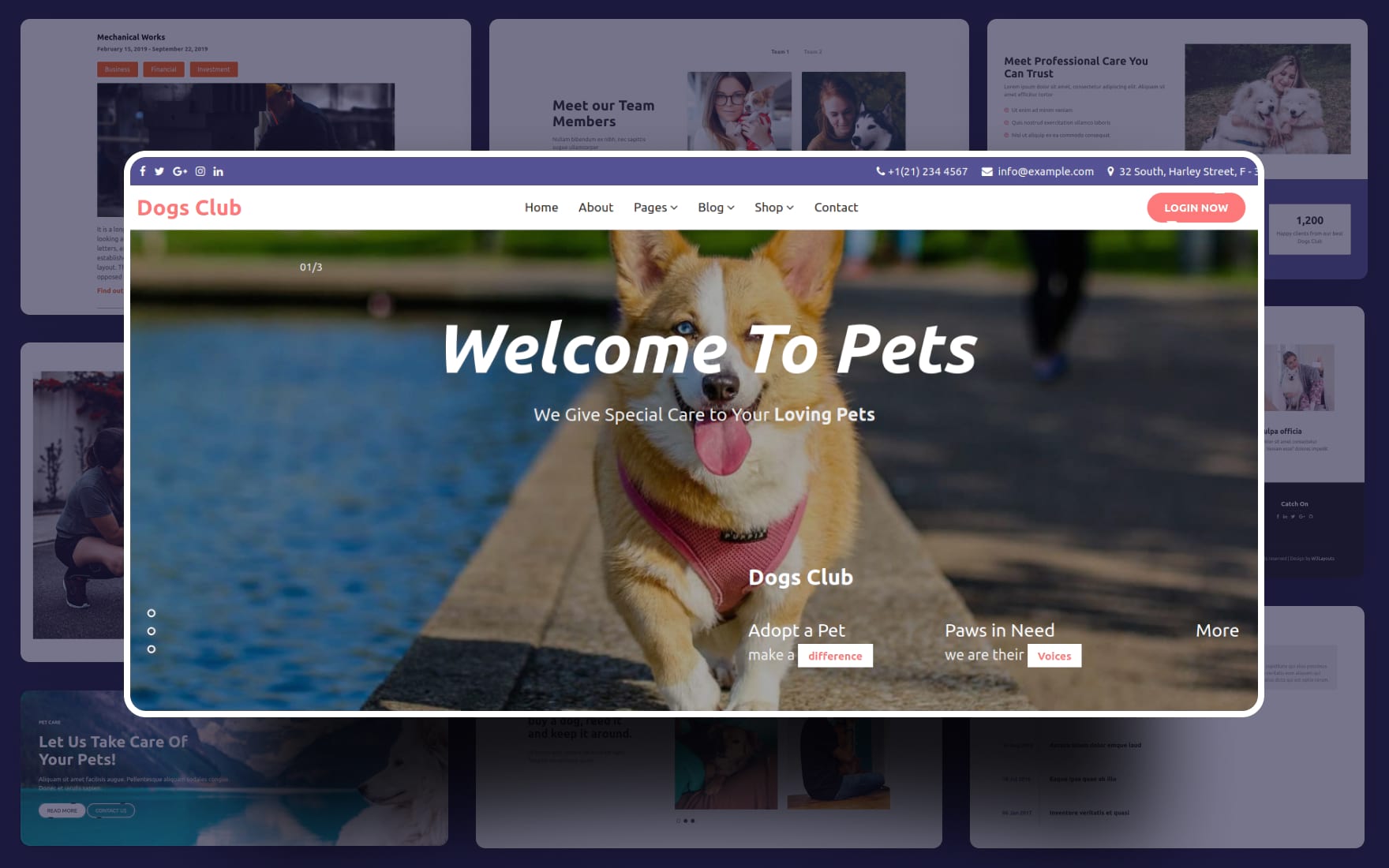 Dogs Club Website Template