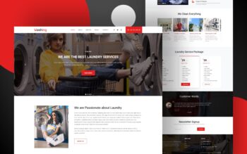 washing website template
