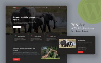 Wildlive wordpress theme