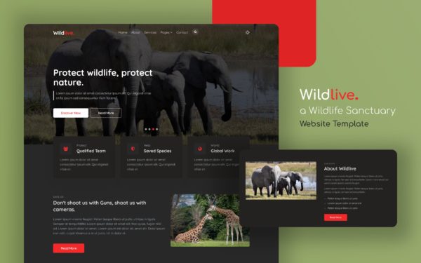 wildlive website template