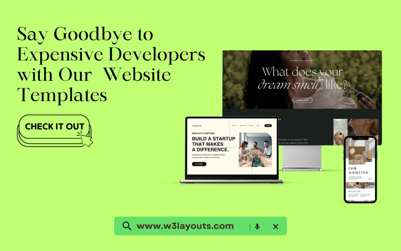 Say Goodbye to Expensive Developers with These DIY Website Templates